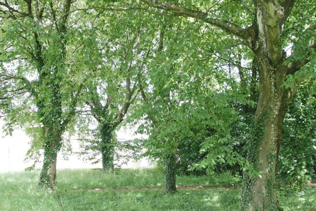 Appartamento Cotswold Gem Upper Rissington Esterno foto